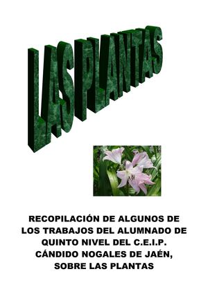 TRABAJOS SOBRE PLANTAS