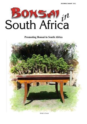 Bonsai in South Africa Dec/Jan2011