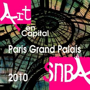 Catalogue de l'exposition de la SNBA au Grand Palais-novembre 2010