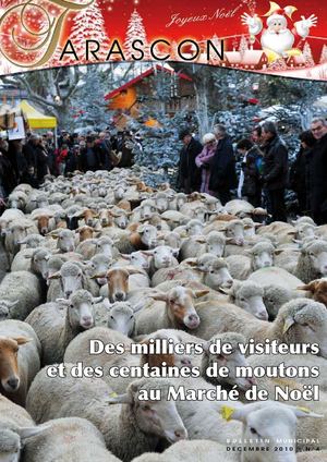 Bulletin municipal n°4 - Décembre 2010