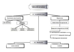 Esquemas población y sectores económicos España
