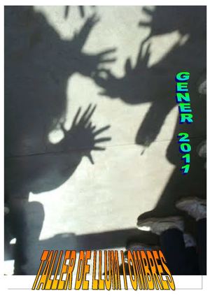 TALLER DE LLUM I OMBRES