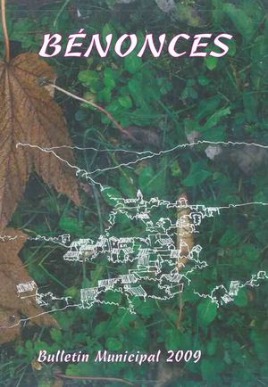 BULLETIN MUNICIPAL 2009