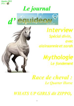 Le journal d'équidéow essai