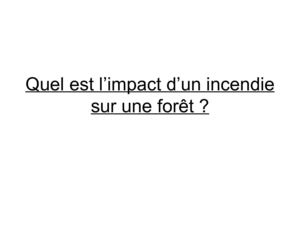 Quel est l'impact des incendies sur les forêts