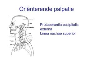 palpatie cervicaal  2009