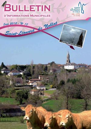 Bulletin municipal n°18 - juin 2010