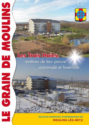 Grain de Moulins - janvier 2011