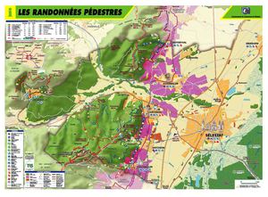 Carte des randonnées pédestres dans la région de Sélestat