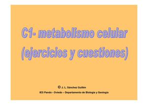 Metabolismo (Evaluación )