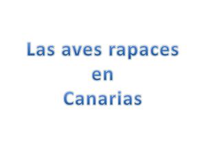 LAS AVES RAPACES EN CANARIAS
