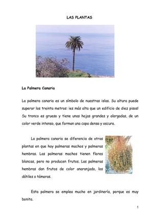 LAS PLANTAS CON IMAGENES WORD 2