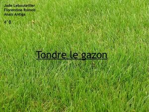 La tondeuse a gazon