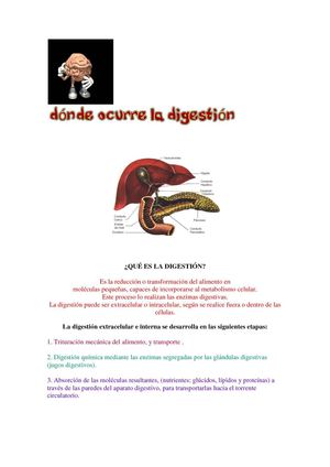 qué es la digestión