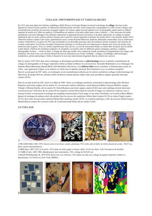 ARTS.PLASTIQUES-Collage.Photomontage.Tableau-relief