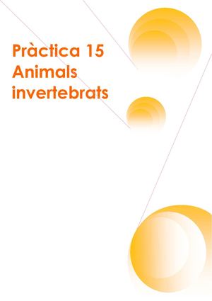 PRÀCTICA 15 - ANIMALS INVERTEBRATS 3
