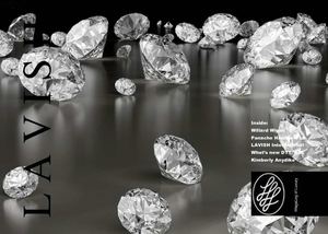 LAVISH Skymall Magazine January 2011 Issue #6