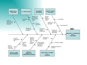 ESQUEMA DEL INFORME ONU