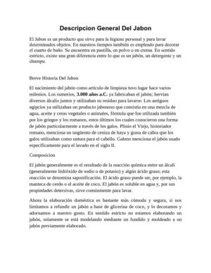 Descripcion General Del Jabon