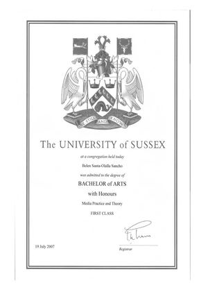 BA in Media Practice and Theory (Sussex University)