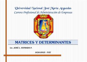 MATRICES Y DETERMINANTES