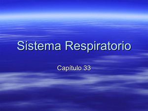 Sistema Respiratorio
