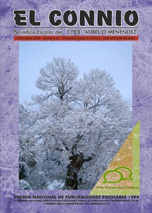 REVISTA CONNIO DICIEMBRE