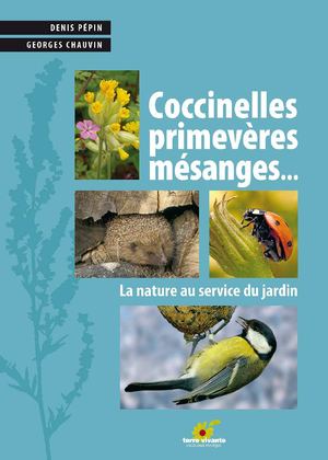 Coccinelles, pucerons, mildiou