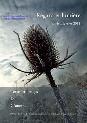 Regard et lumière, janvier/février 2011