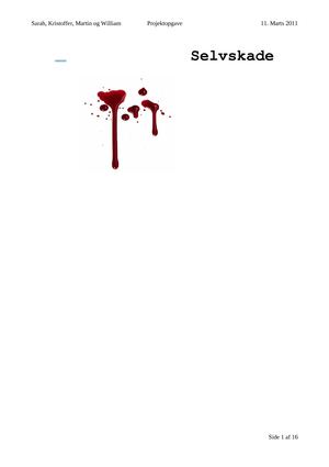 Projektopgave om selvskade - Sarah, Kristoffer, Martin og William