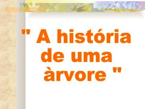História de uma árvore