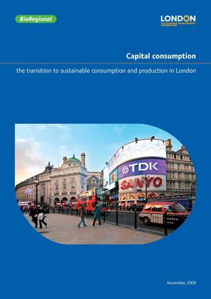 Capital Consumption