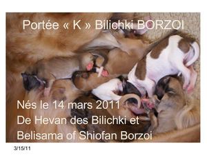 Portée K