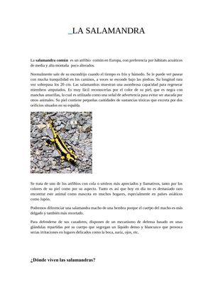 La salamandra