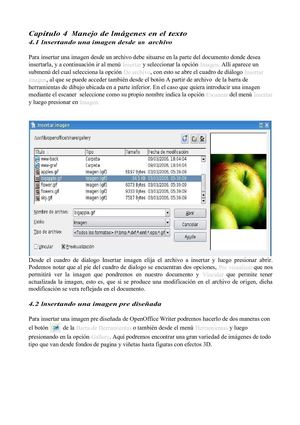Manual Capítulo 4 ­­­ Manejo de Imágenes en el texto