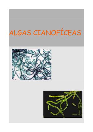 Algas cianofíceas