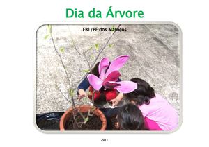 Dia da Árvore - EB1/PE dos Maroços
