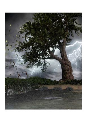 Le chêne et le roseau