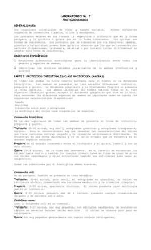 que es protozoos quistes