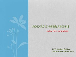 poesía e primavera: unha flor, un poema