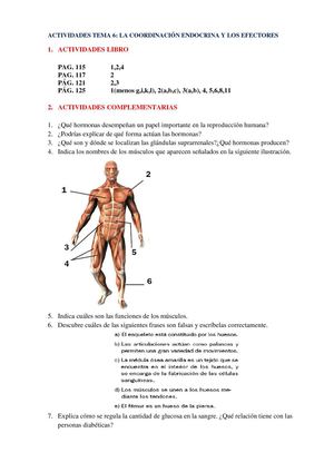 Actividades tema 6