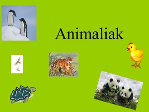 8-animaliak