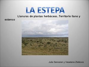 ESTEPA - Julia VEselena