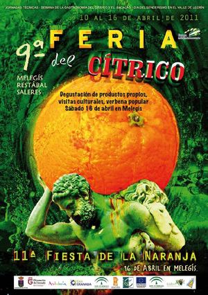 Feria del Cítrico y Festival de la Naranja 2011