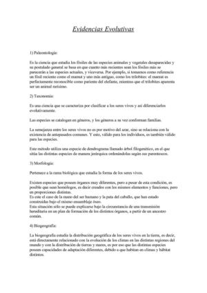 Evidencias Evolutivas