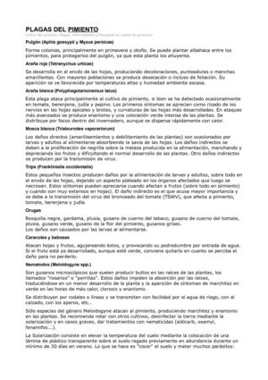 plaga cultivo pimiento