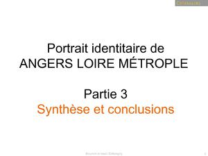 Portrait identitaire d'Angers Loire Métropole (3)