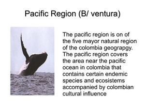 PACIFIC REGION 