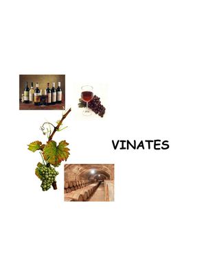 VINATES 