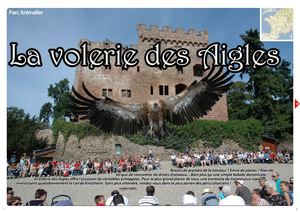 La Volerie des Aigles